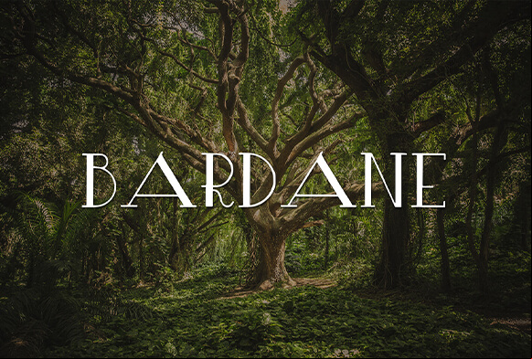 font gratuito photoshop