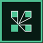adobe connect logo
