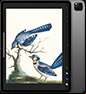 apple 12.9-inch ipad pro for procreate