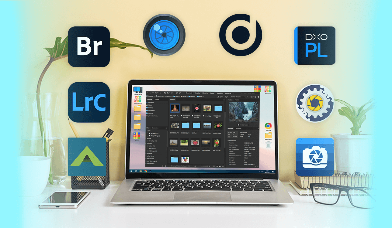 digital asset management software for photographers