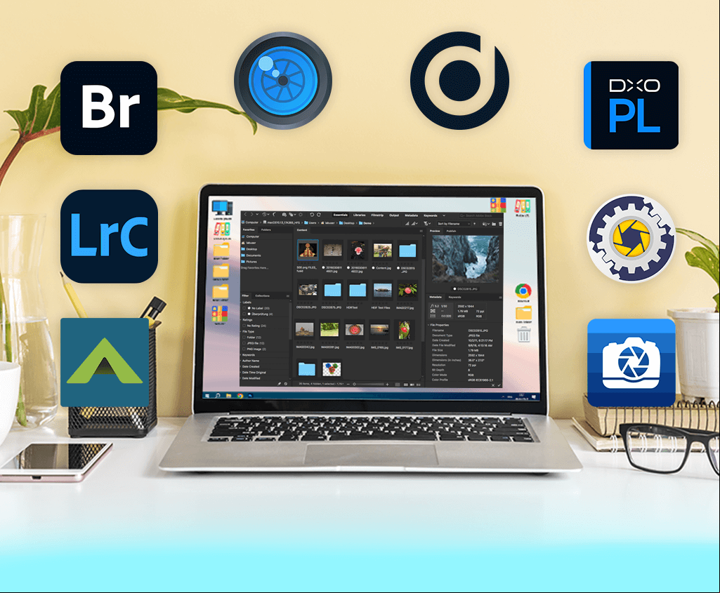digital asset management software for photographers