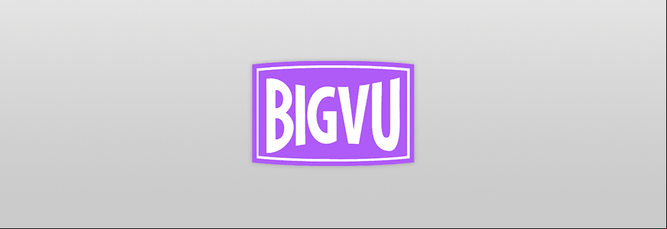 bigvu logo