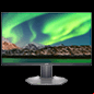 dell s2522hg monitor under 250