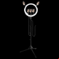 godox lr150 ring light for photography