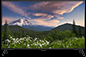 lg 43un700t-b 43 inch monitor