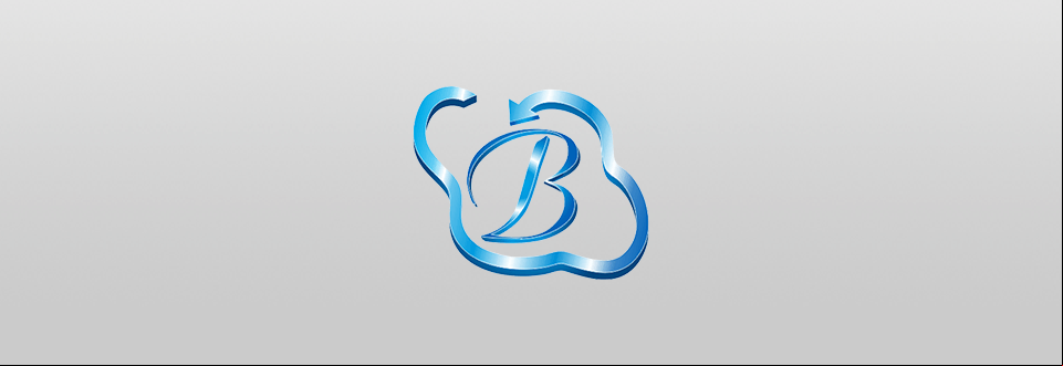 bhavitra technologies logo