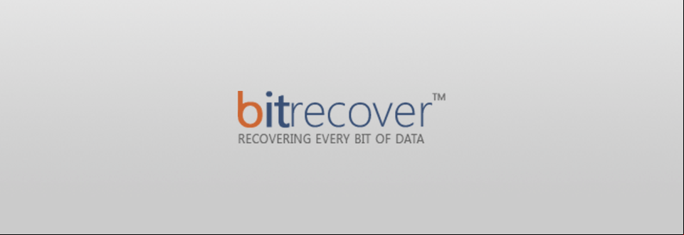 bitrecover image viewer logo