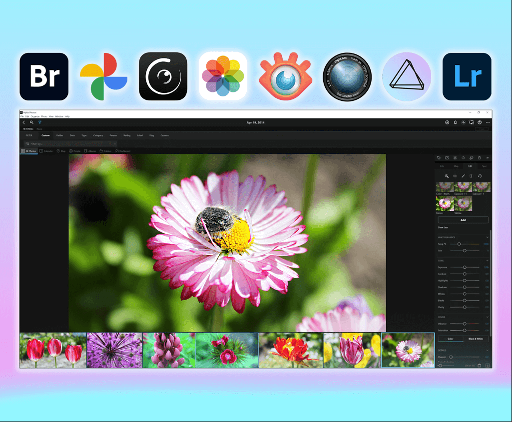 mylio photos alternatives