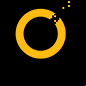 norton logo