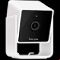 petcube cam cat camera