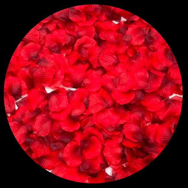 rose petals wedding photography props