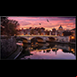 samsung qb65r tv