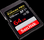 sandisk sdsdxxy-064g-gn4in sd card for nikon d7500