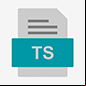 ts file logo