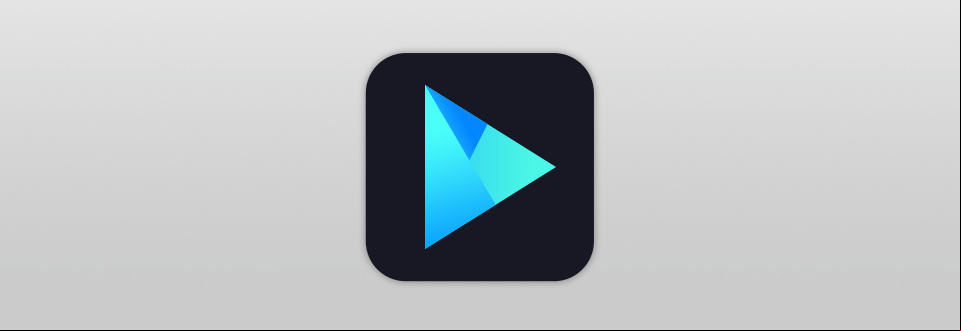 vidmore player software logo