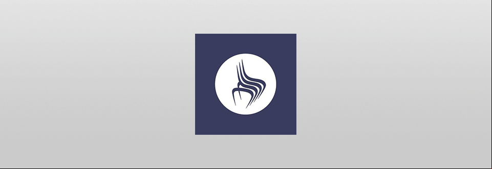 virtualstagingsolutions logo