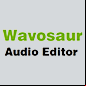 wavosaur logo